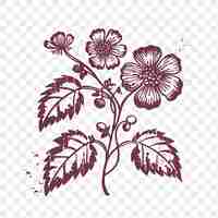 PSD psd premium transparente y sellos florales collaje para proyectos creativos t-shirt clipart tatuaje