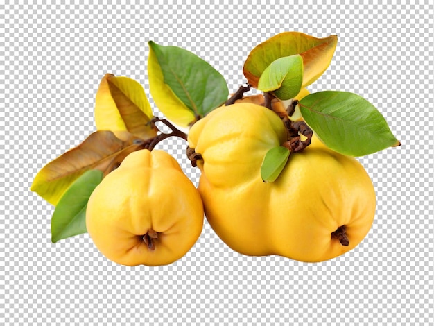 PSD psd quince png em um fundo transparente