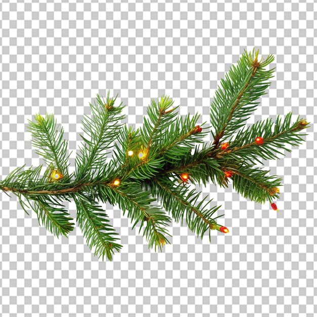 Psd de una rama de pino, guirnalda de navidad, ramita de abeto verde sobre un fondo transparente