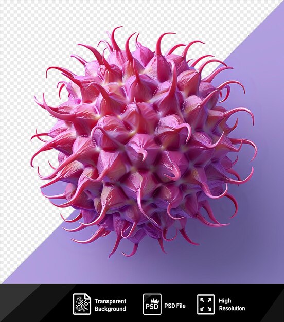 PSD psd rambutan sur un fond violet png