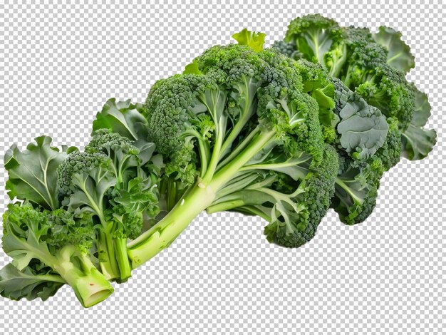 Psd rapini broccoli rabe png auf einem durchsichtigen hintergrund