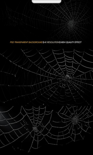 PSD psd realistic spiders cobweb with black background