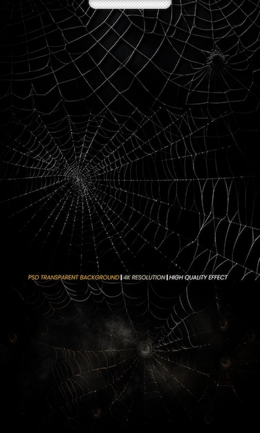 PSD psd realistic spiders cobweb with black background