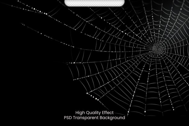 PSD psd realistische spinnenweb mit schwarzem hintergrund