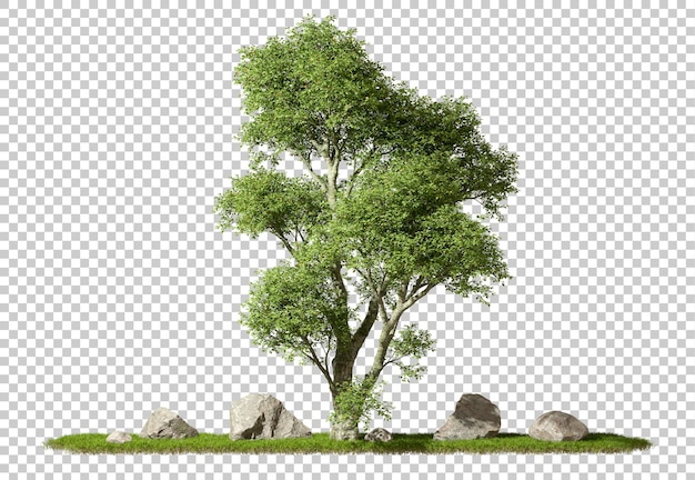PSD Recorte de vegetación tropical de la selva árbol y roca en escena de hierba fondos transparentes renderizado en 3D