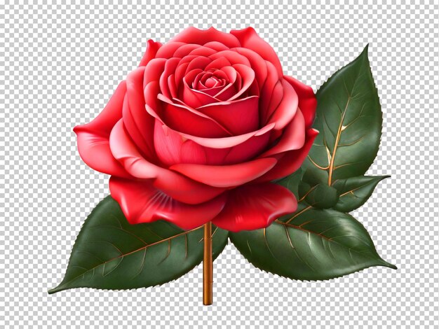 PSD psd rose png en un fondo transparente