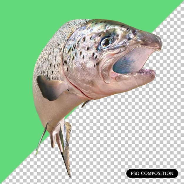 PSD psd salmón pez aislado renderizado en 3d