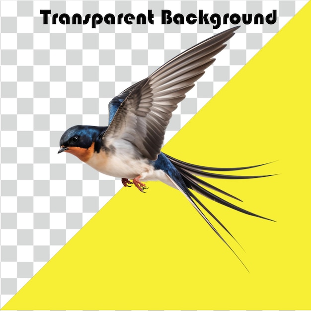 Psd schluckt transparenten Hintergrund