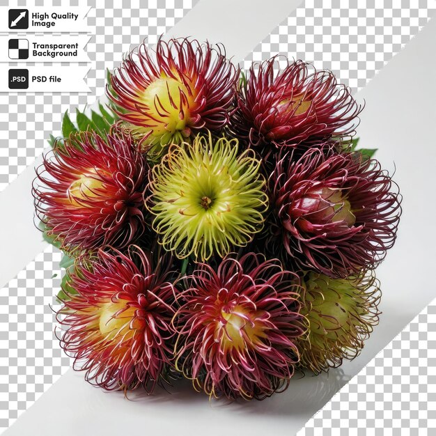 Psd semillas de durian rojo durian marangang en fondo transparente con capa de máscara editable