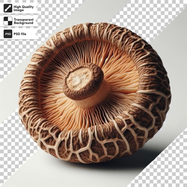 PSD Shiitake mushroom on transparent background with editable mask layer