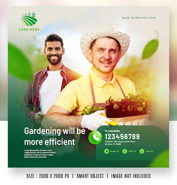 PSD soins de santé de jardin de plantes et de légumes biologiques pour les agriculteurs