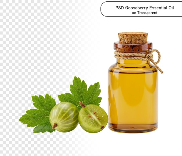 PSD- und PNG-Etherölextrakt aus Stachelbeeren in einer Bernsteinflasche mit Früchten auf durchsichtigem Hintergrund
