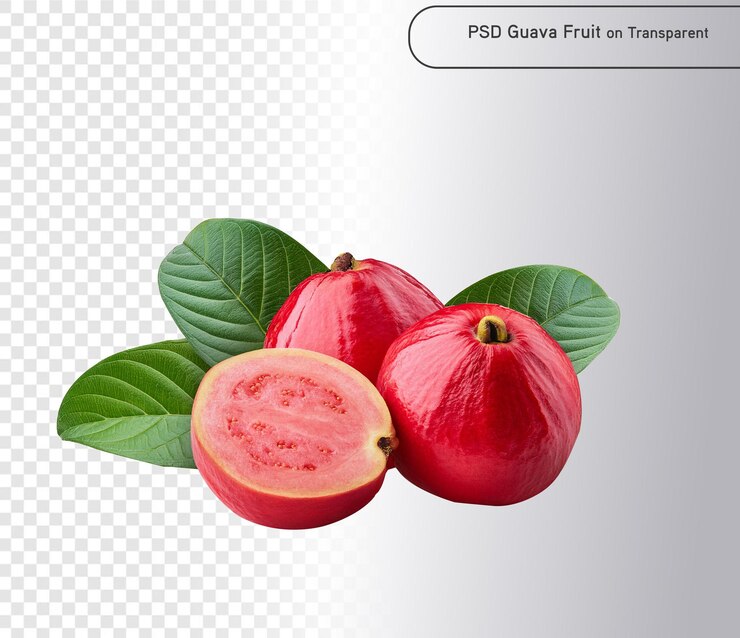 PSD psd- und png-rosa guava, isoliert auf der alpha-schicht