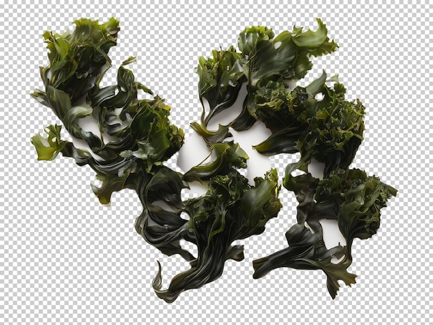 Psd wakame seaweed png em um fundo transparente