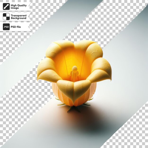 PSD psd yellow bellflower campanula thyrsoides sur fond transparent avec couche de masque modifiable