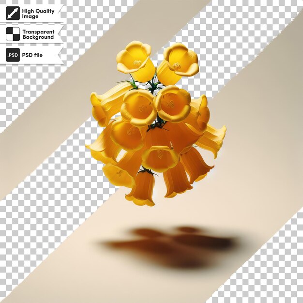 PSD psd yellow bellflower campanula thyrsoides sur fond transparent avec couche de masque modifiable