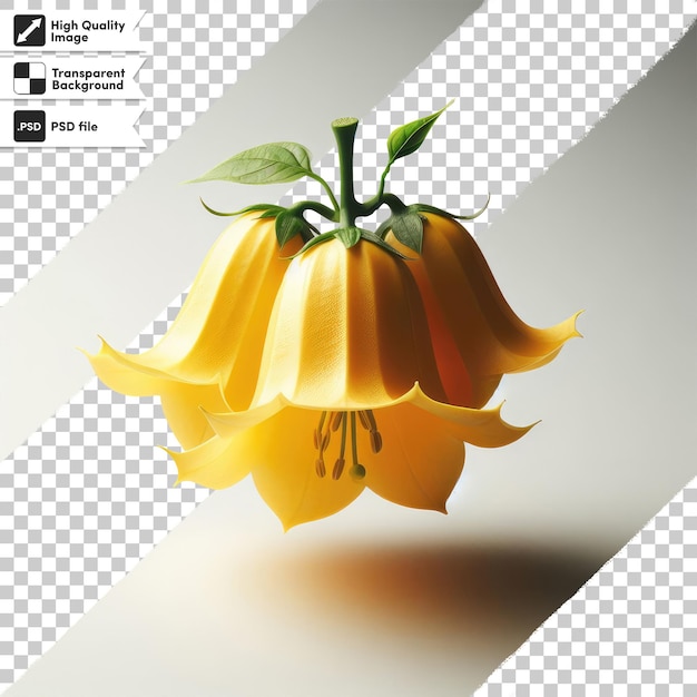 PSD psd yellow bellflower campanula thyrsoides sur fond transparent avec couche de masque modifiable
