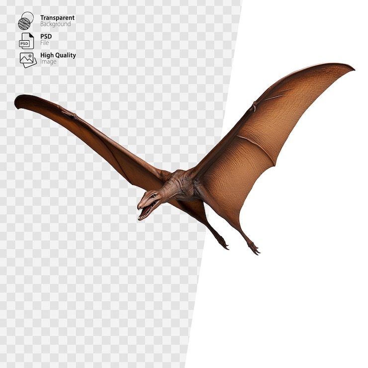 PSD pterodáctil marrón volando con las alas extendidas hacia adelante sobre un fondo transparente