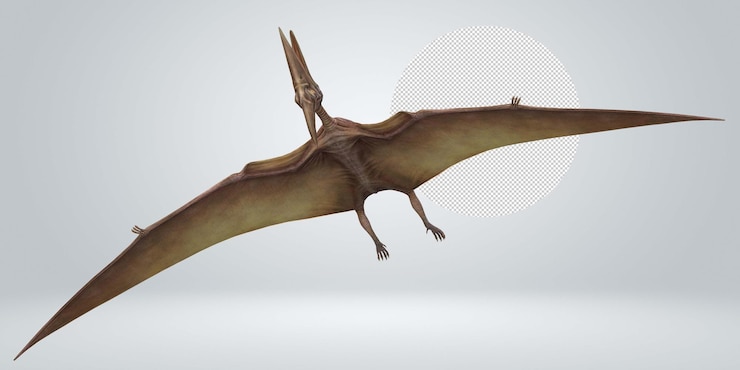 PSD pterodáctilos aislados en un fondo transparente