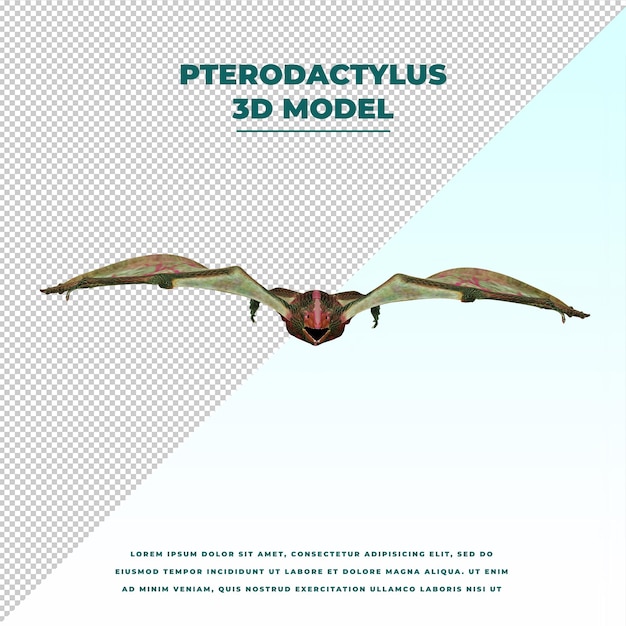 PSD ptérodactyle
