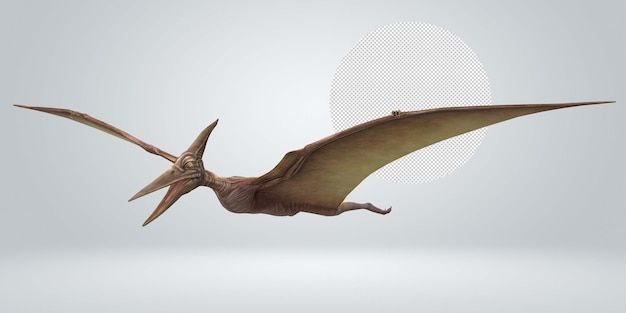 Pterodattili isolati su uno sfondo trasparente