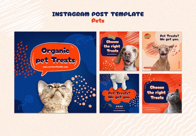 PSD publicaciones de instagram de cuidado de mascotas dibujadas a mano