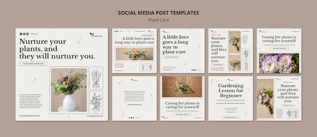 PSD publicaciones de instagram de cuidado de plantas dibujadas a mano
