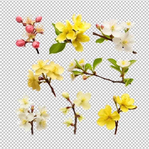 publicidad de modelos de flores de primavera y verano