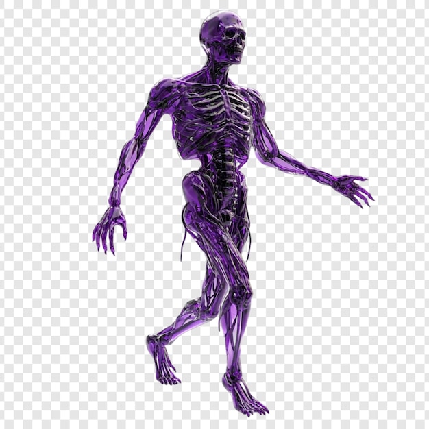 Purple Glass Skeleton Walking Figure Anatomie 3D-Rendering für die Erfindung von Skeletten