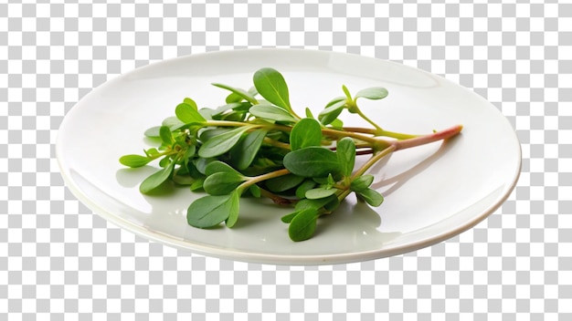 PSD purslane crudo con una rebanada aislada en un fondo transparente