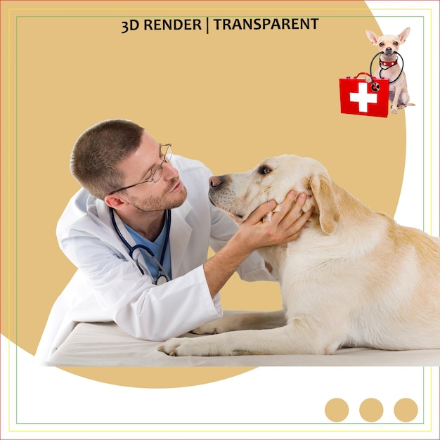 Qualitätspflege für glückliche, gesunde Hunde und fachkundige tierärztliche Dienstleistungen für Hunde und Katzen, die Sie lieben
