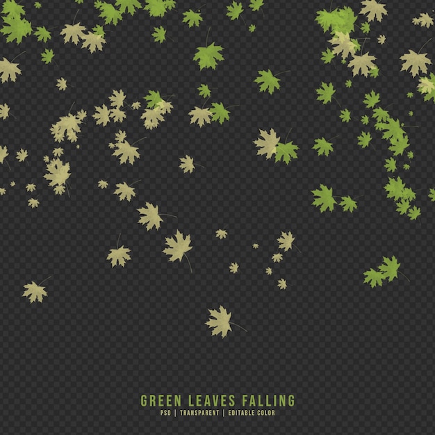 Queda de folhas verdes e secas isoladas em fundo transparente