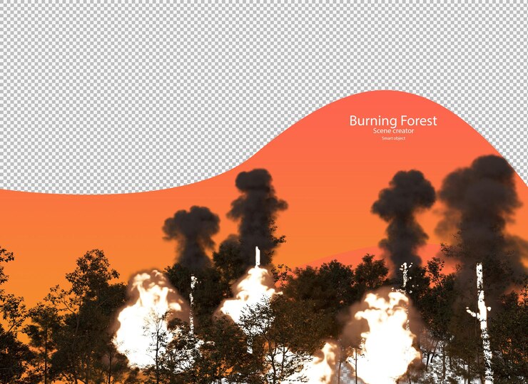 PSD queimando floresta à noite queimando floresta isolada