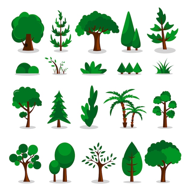 Raccolta di alberi