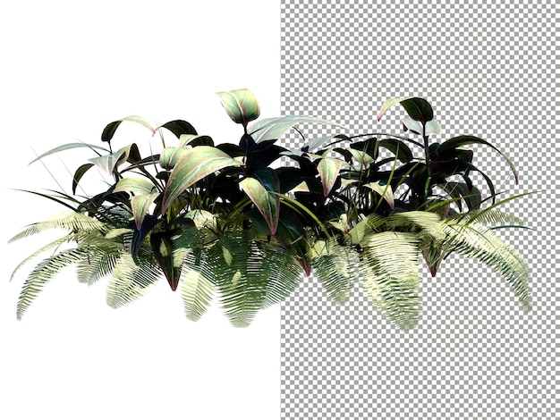 Racimo de ricos árboles y helechos sobre fondo transparente renderizado 3D
