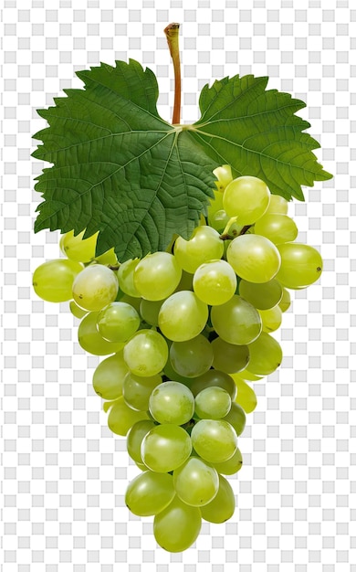 Un racimo de uvas con una hoja verde en un fondo transparente