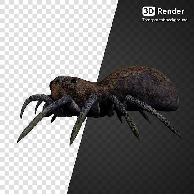 Ragno 3d rendering isolato