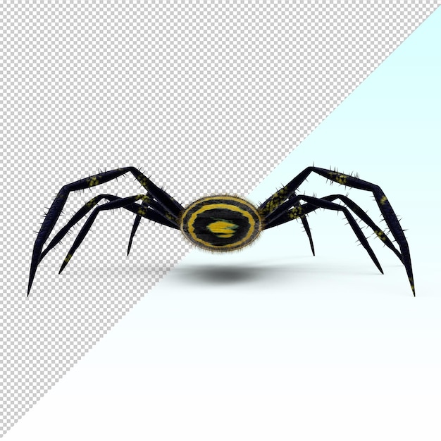 Ragno esotico 3d isolato