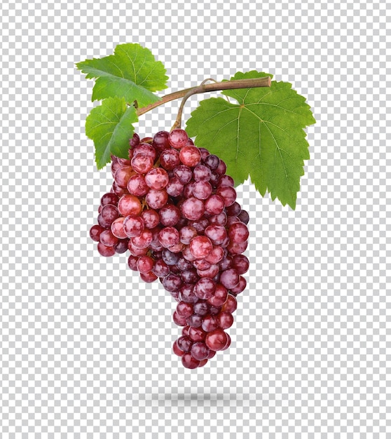 Raisin Rouge Frais Avec Des Feuilles Isolées Psd Premium