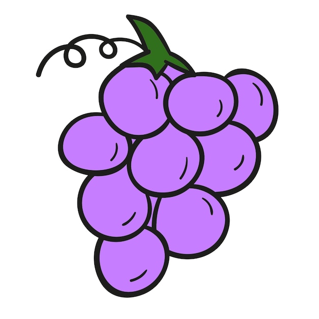 un raisin violet avec une feuille verte sur le dessus