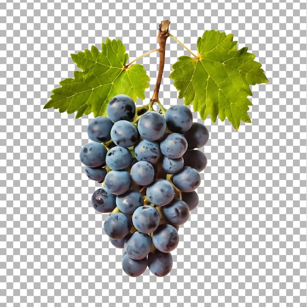 raisins rouges isolés sur un fond transparent