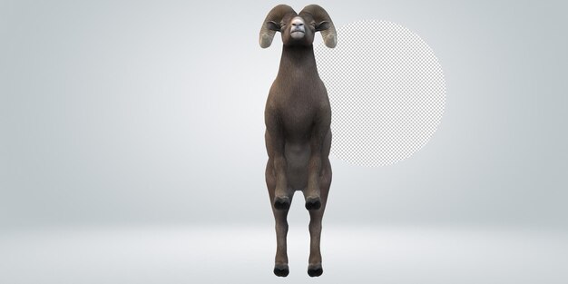 Ram aislado en un fondo transparente