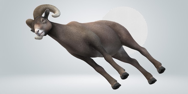 Ram aislado en un fondo transparente
