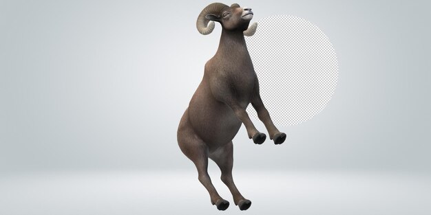 Ram aislado en un fondo transparente