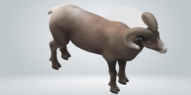 Ram aislado en un fondo transparente
