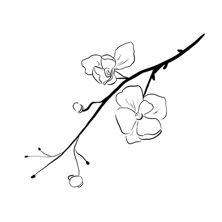 PSD rama de árbol de manzana en flor ilustración en blanco y negro estilo digital simple