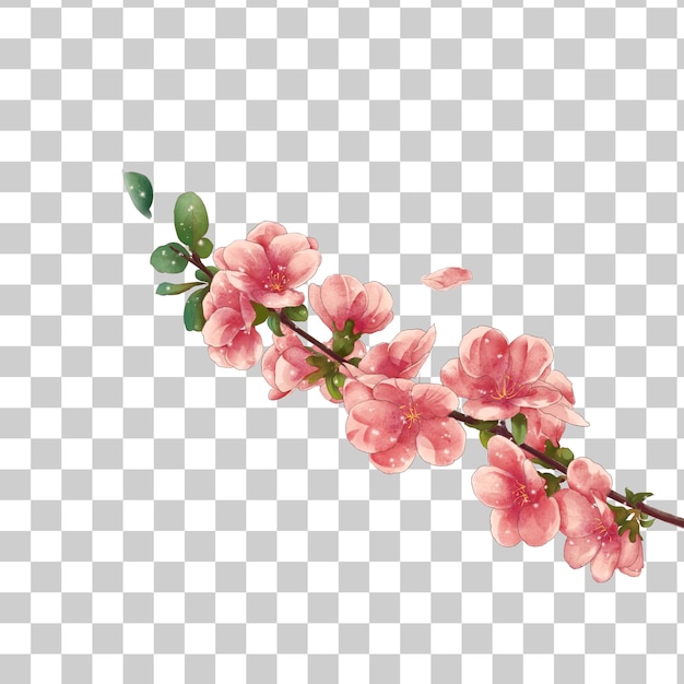 La rama de la flor rosada