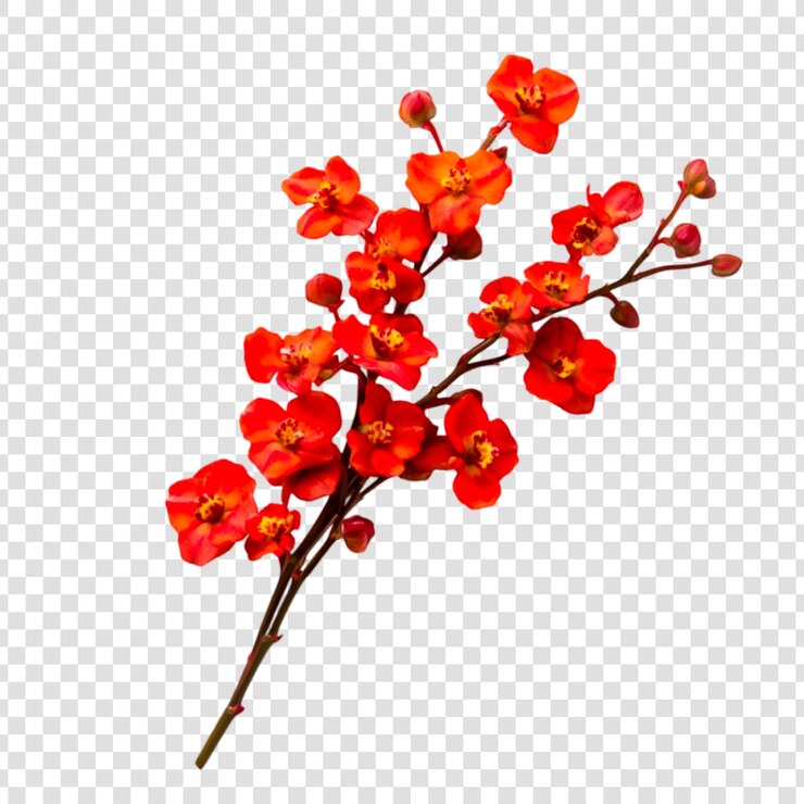 PSD una rama de orquídea roja vibrante aislada sobre un fondo blanco