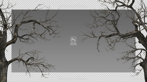PSD ramas de los árboles secos árbol seco aislado