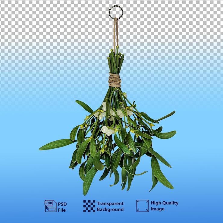PSD ramas psd de muérdago blanco de hoja perenne con bayas atadas con un cordón marrón concepto de navidad